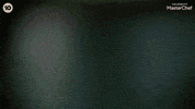 Reveal Ingredient GIF by MasterChefAU