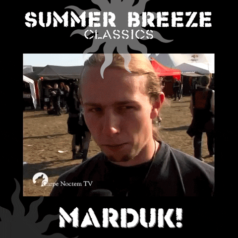 SummerBreezeOpenAir festival metal fan bier GIF