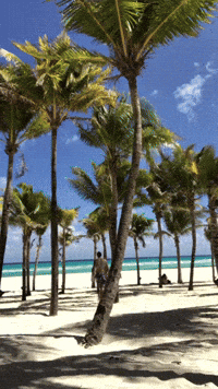 Playa Del Carmen GIF by CGTraveler - Carlos Garrido - Adventrgram