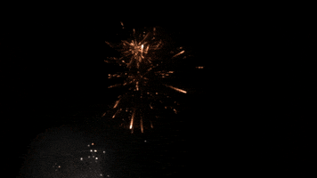 Celebrate Independence Day GIF by emibob