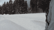 snow GIF by America's Funniest Home Videos