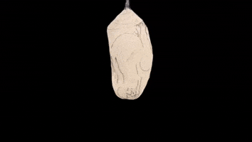 Wake Up Sleeping GIF by Barbara Pozzi