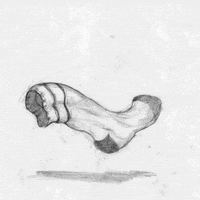art morph GIF by Miranda Javid