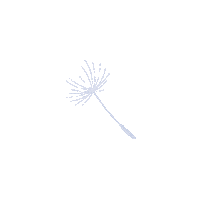 Make A Wish Sticker by WishGarden Herbs