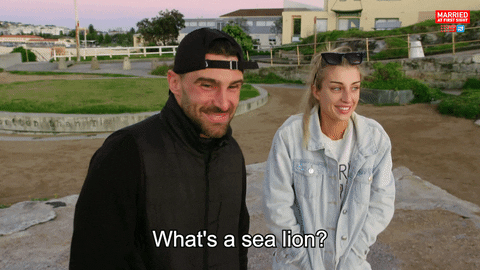 Sea Lion Reaction GIF by Married At First Sight