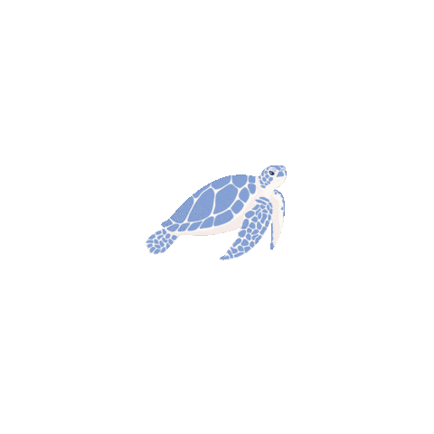 Sea Turtle Sticker by Kyte Baby