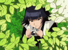 Captain Bankai GIF