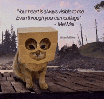 Mei Mei Cat GIF