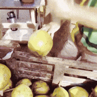 karlasro water prank wet karla GIF