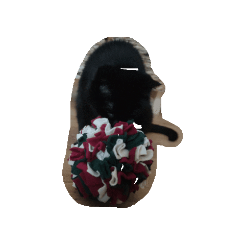 Katzenspielzeug Sticker by Pawcordbyfranzi