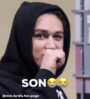 Nhl Son GIF