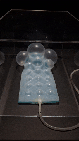 biomar  GIF