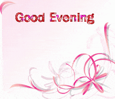 evening GIF