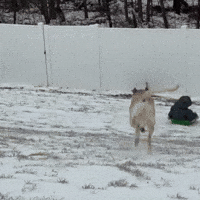 Snow Oops GIF by Respective