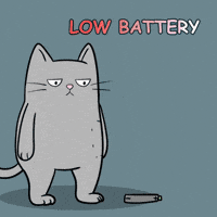 Cat Animation GIF
