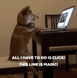 GIF by LWTSQUAD