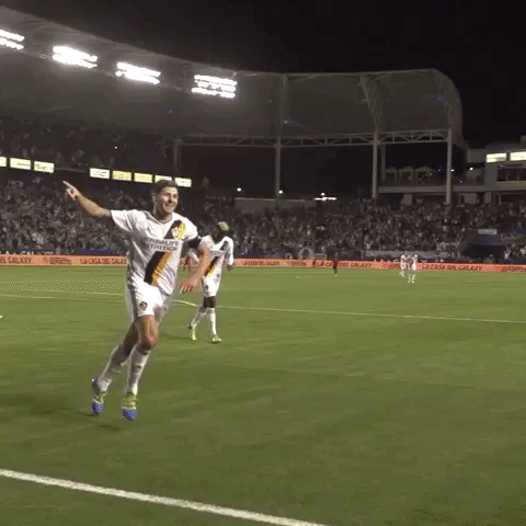 lavrsl GIF by LA Galaxy