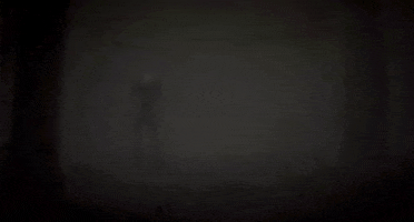 Blair Witch Ix GIF by Xbox
