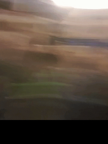 49d0e62425de47d2893b5e9a014118 valeriorvieto saulino GIF