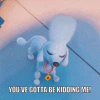Happy Kim Kardashian GIF by PAW Patrol: The Movie