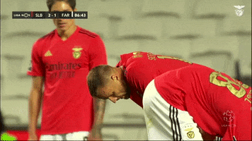 Sl Benfica Everton GIF by Sport Lisboa e Benfica