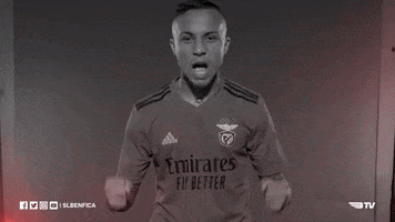 Sl Benfica Slbgif GIF by Sport Lisboa e Benfica