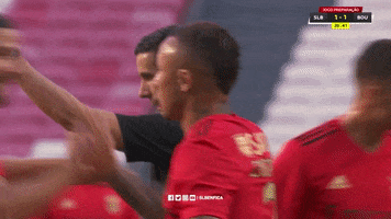 Sl Benfica Hug GIF by Sport Lisboa e Benfica