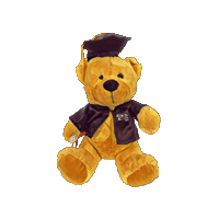 europeanunicy bear graduation teddy degree Sticker