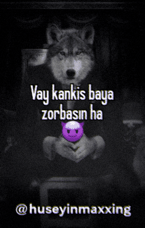 Wolf Turkish GIF