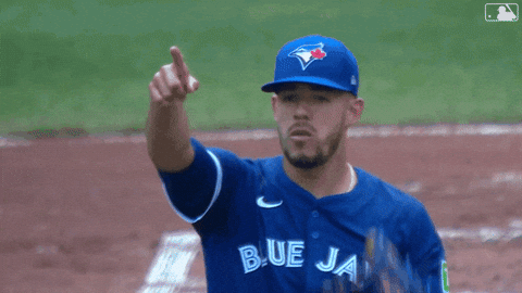 Blue Jays Baseball GIF by Toronto Blue Jays
