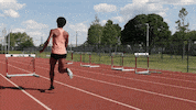 GIF by Harvard University