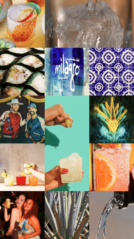 Celebrate Mexico City GIF by Milagro Tequila
