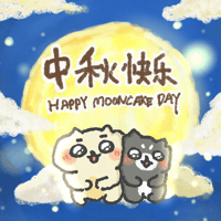 Full Moon Cat GIF