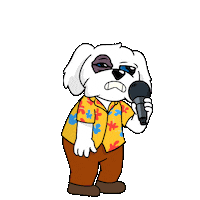 Black Eye Funny Gif Sticker by BoDoggos