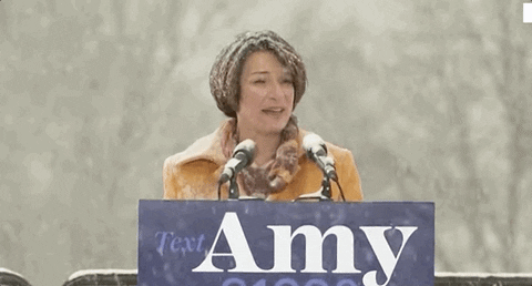 Amy Klobuchar Snow GIF by Election 2020