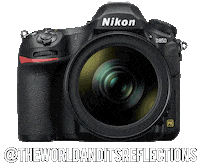Nikoninstabadge D850 Sticker by NikonIndia