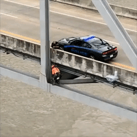 Dog Rescued From Bridge 120 Feet Above Mississippi River