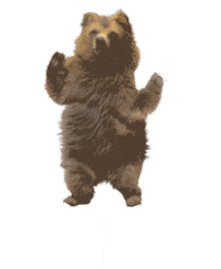 Wilder Kaiser Sticker by Bärnstatt