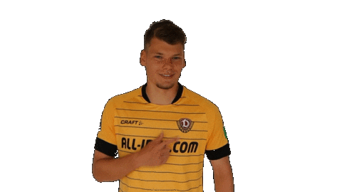 Logo Smile Sticker by SG Dynamo Dresden