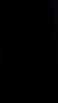 Lets Play GIF by figopet