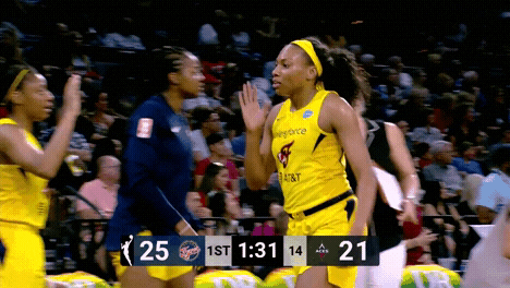 High Five Indiana Fever GIF by WNBA