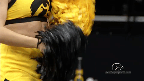 volleyball GIF by University of Iowa Hawkeyes Athletics