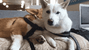 Tired Best Friends GIF by KeepUpWithJazAndYumi