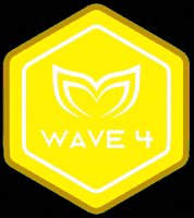 Wave4 GIF by Molchanovs