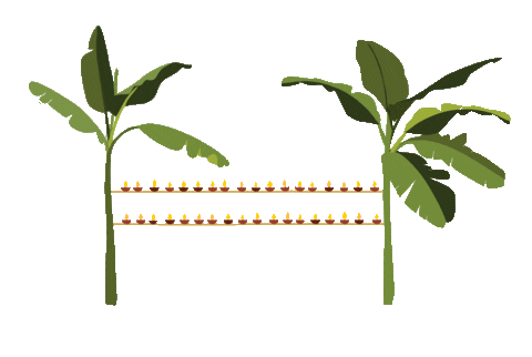 Diwali Assam Sticker by NEST by Arpit Agarwal