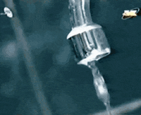 Water Hydrate GIF