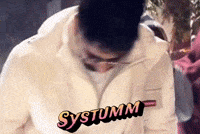 Systumm GIF