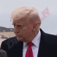 Trump Usa GIF by dieselrcorp