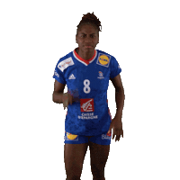 Ffhandball Sticker by Fédération Française de Handball