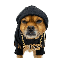 Dog Boss Sticker